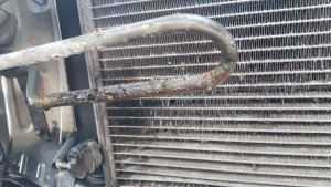 IMG-20220723-WA0000.jpeg IMG-20220723-WA0000.jpeg