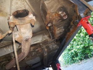 20220812_184101.jpg 20220812_184101.jpg