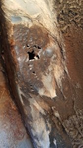 IMG-20220813-WA0001.jpeg IMG-20220813-WA0001.jpeg