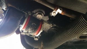 IMG-20220827-WA0000.jpeg IMG-20220827-WA0000.jpeg