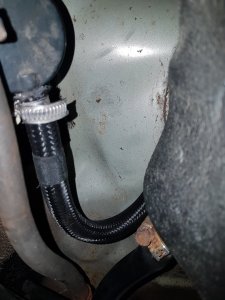 20220827_095252.jpg 20220827_095252.jpg