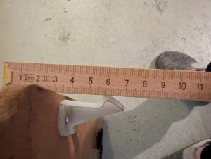 PXL_20230510_161044307.jpg