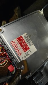 IMG_20230704_093731.jpg