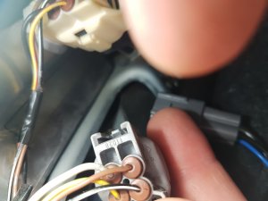 20230820_121938.jpg