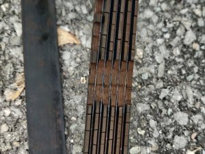 IMG_20230822_192202.jpg