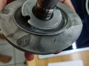 IMG_20230823_230928.jpg