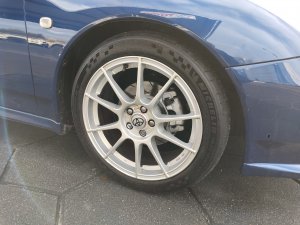 IMG_20231029_132951701.jpg